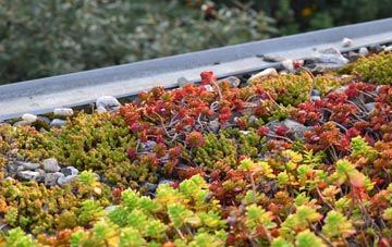 the cost of Saintbridge green roof installation