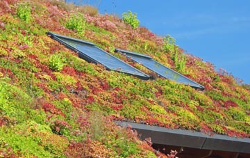 Saintbridge living roof systems
